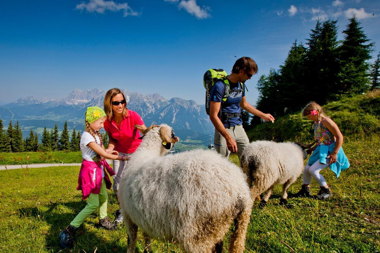 Alpenrock Appartements By Schladming-Appartements 外观 照片